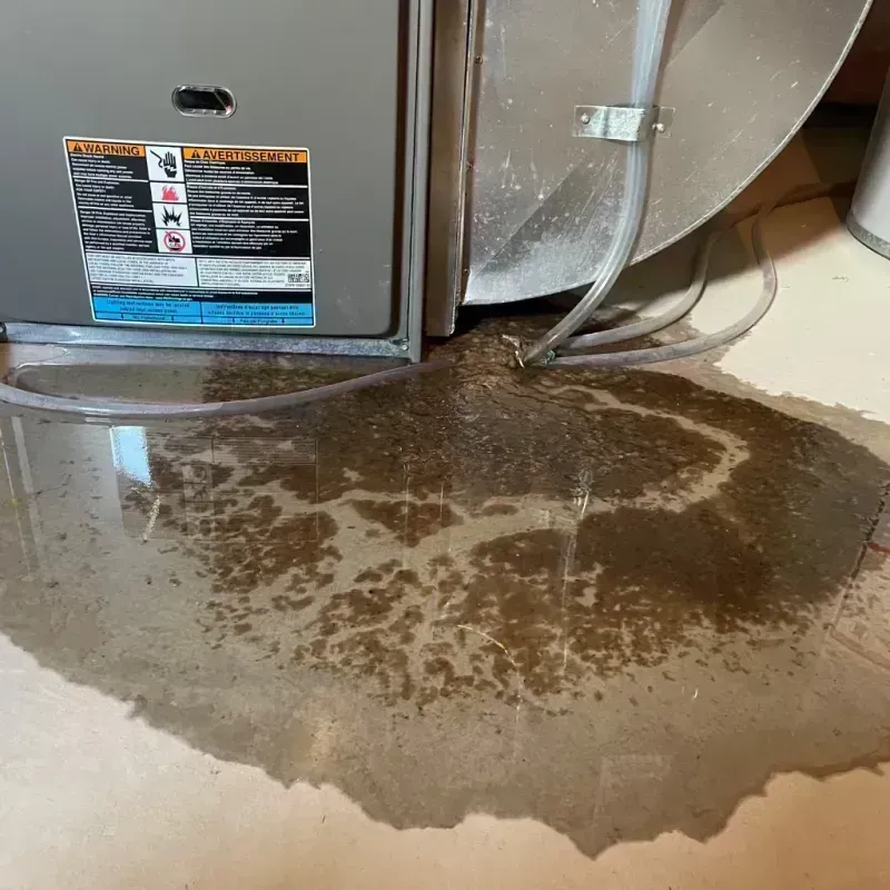 Appliance Leak Cleanup in Cape Girardeau, MO